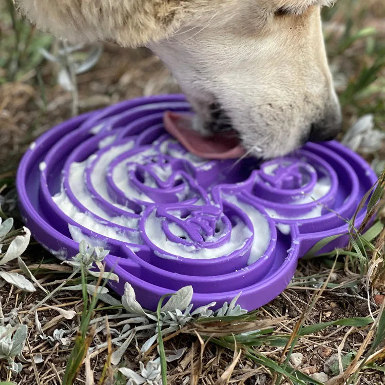 Purple shallow slow feeder bowl with textured frog design, helping a dog enjoy its food outdoors.