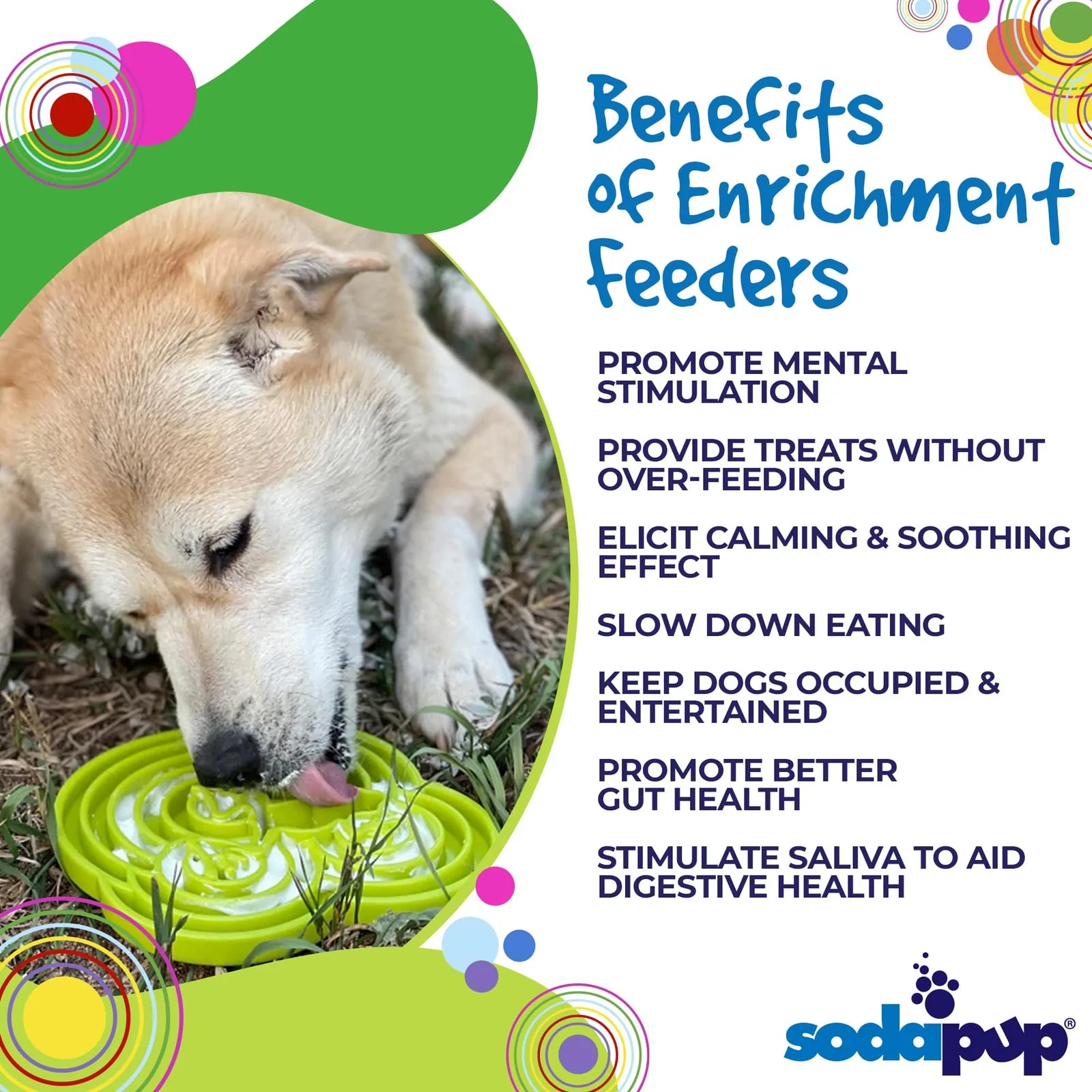 Shallow green water frog slow feeder dog bowl with textured surface, designed for mental enrichment and slow eating.