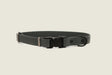 Euro-Dog Collars and Leads