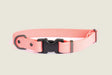 Euro-Dog Collars and Leads