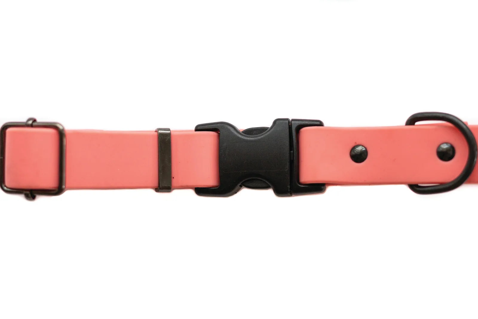 Coral Reef waterproof dog collar featuring a soft PVC material, YKK buckle, and fine steel hardware.
