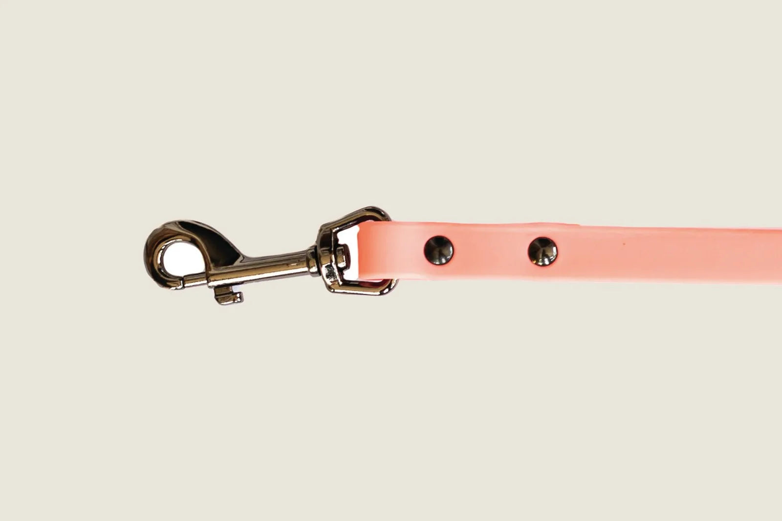 Waterproof coral reef dog leash made of soft PVC with a sturdy metal clip and decorative rivets.