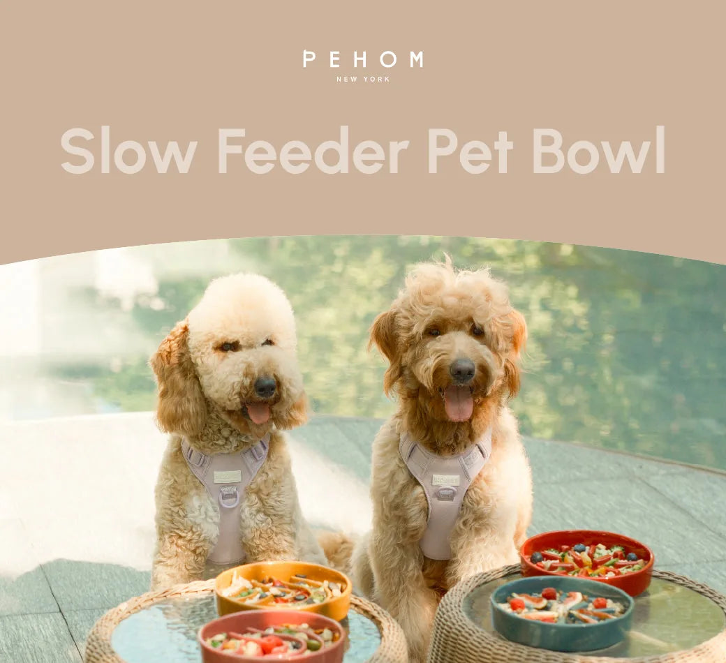 Two happy dogs beside colorful slow feeder pet bowls in pink and orange, enjoying their meals outdoors.