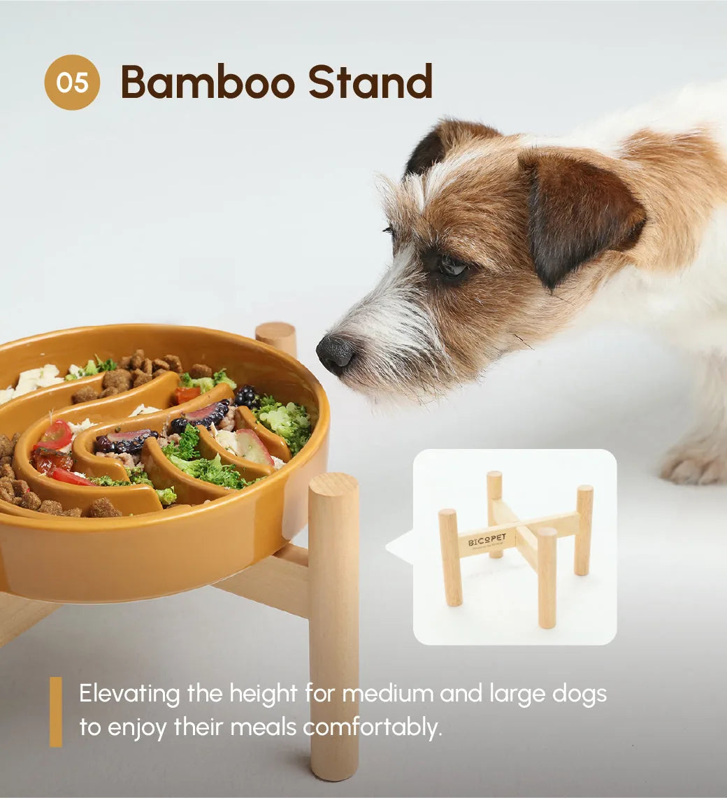 Slow feeder dog bowl on a wooden stand, filled with pet food, with a dog curiously inspecting it.