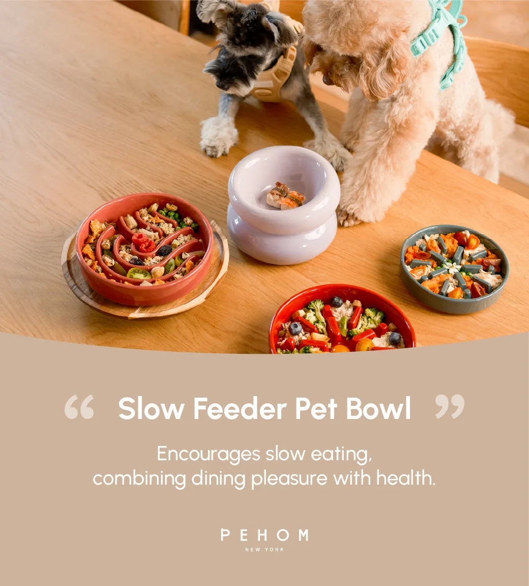 Slow feeder bowls in pink, red, and gray, filled with fresh food, promote calm eating for dogs.
