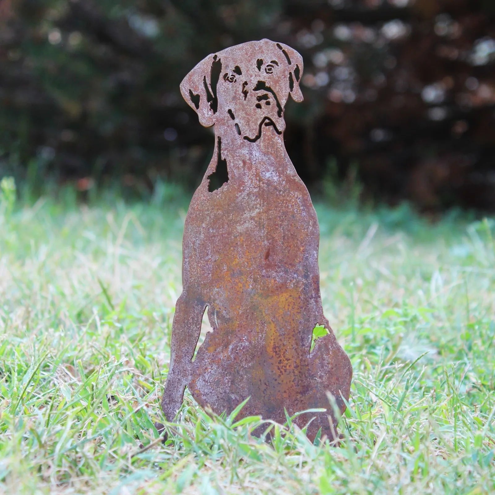 Rusty Corten steel silhouette of a Weimaraner dog, set in grassy outdoor space, showcasing unique metal art design.