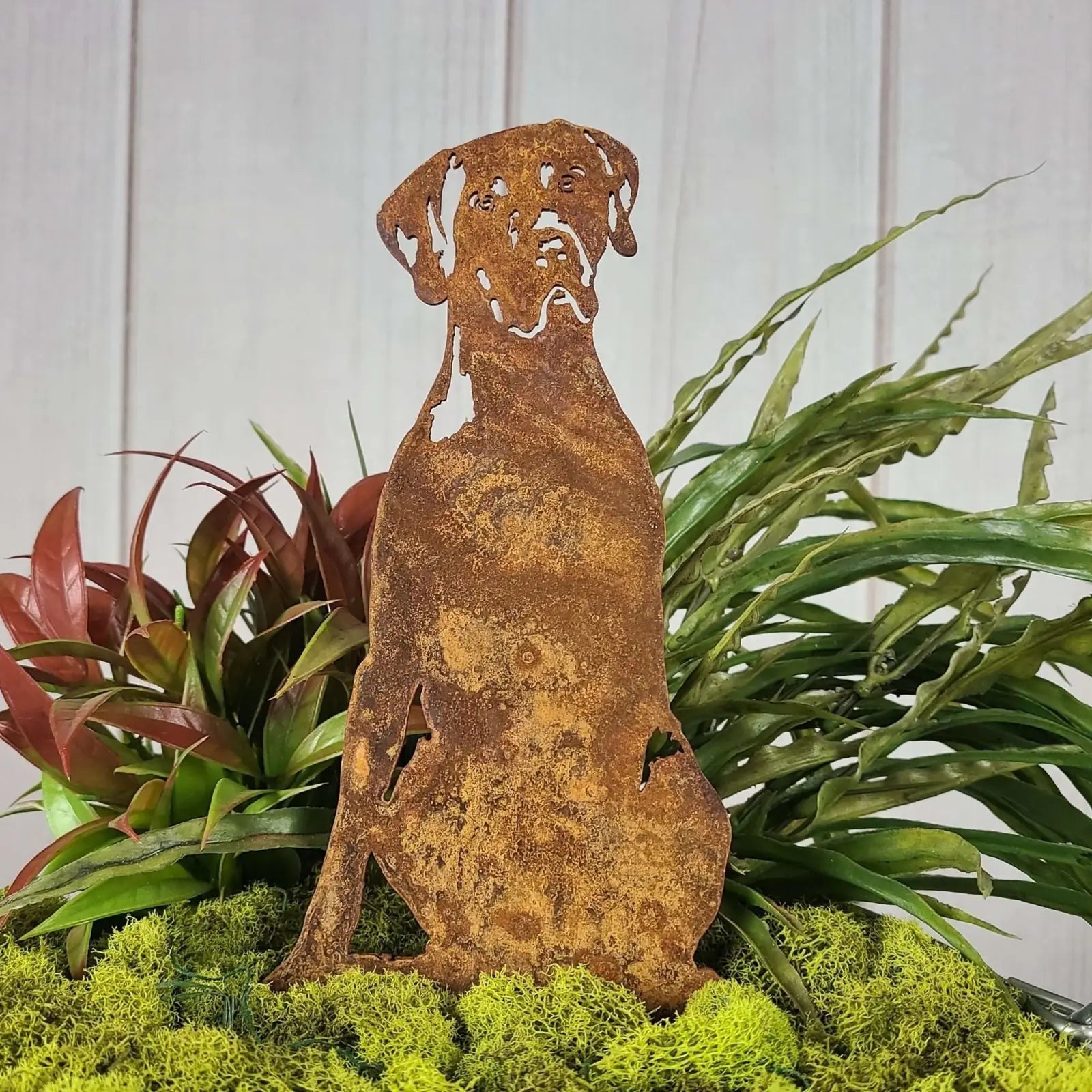 Rustic Weimaraner metal silhouette crafted from Corten steel, showcasing an artistic dog design amidst lush greenery.
