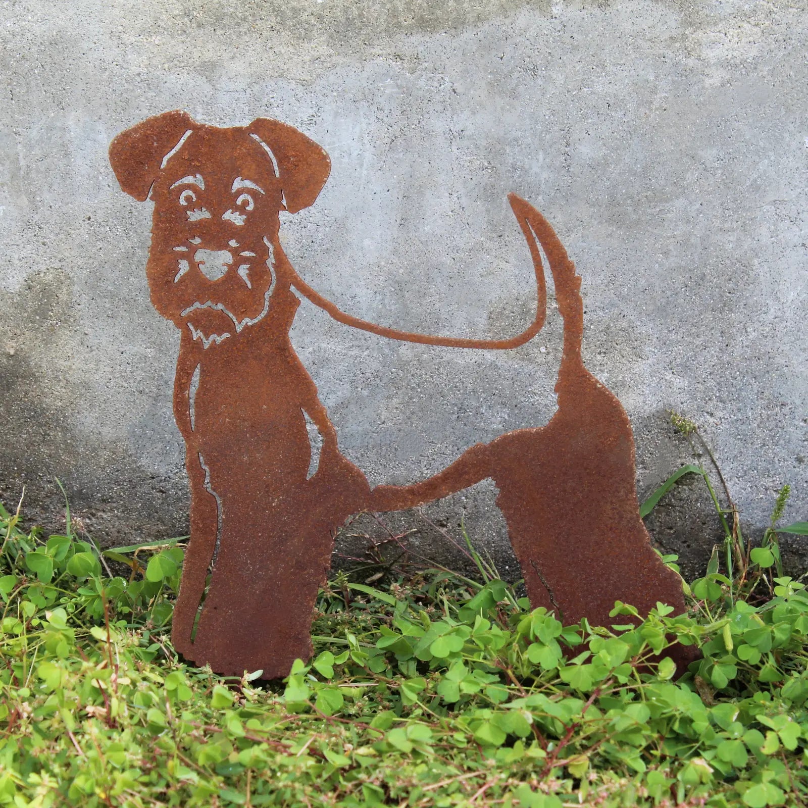 Welsh Terrier metal silhouette in rust-colored Corten steel, standing amidst green grass against a concrete backdrop.
