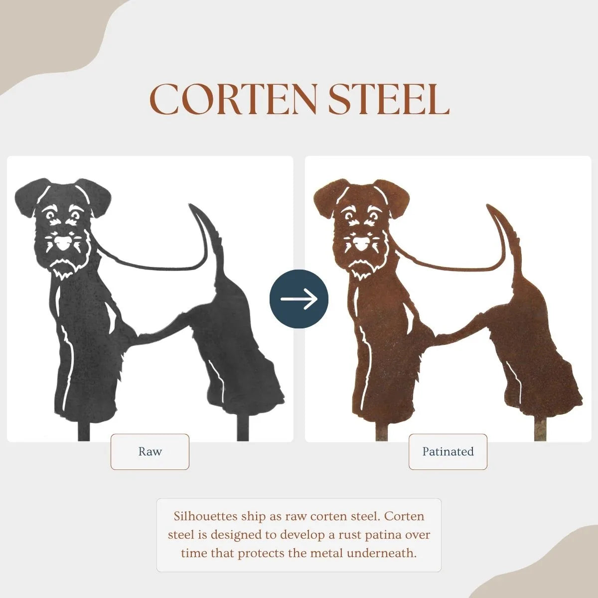 Welsh Terrier metal silhouette comparison: raw black finish on the left, patinated rust on the right, showcasing Corten st...