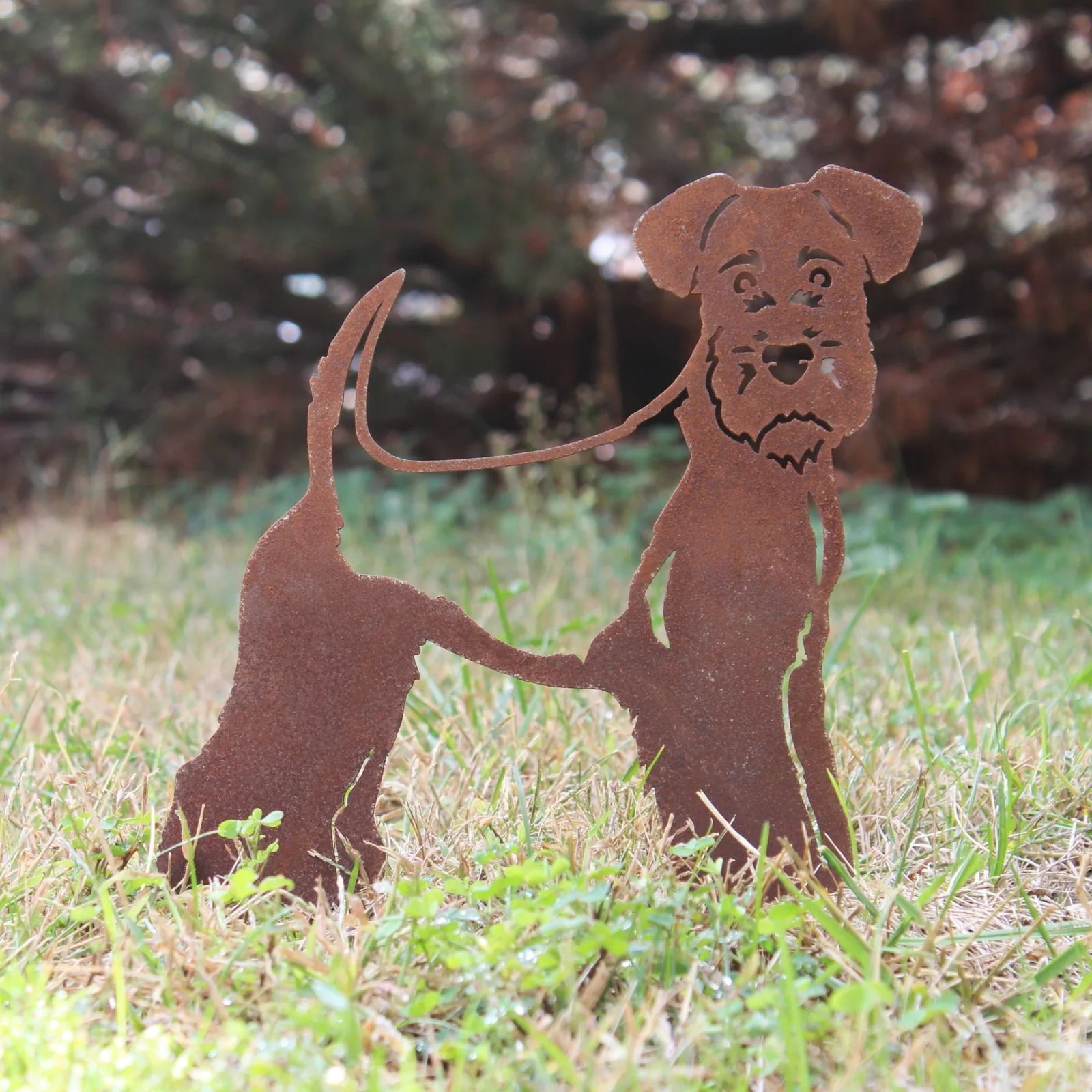 Welsh Terrier metal silhouette in weathered Corten steel, featuring playful dog design, positioned in a grassy outdoor set...