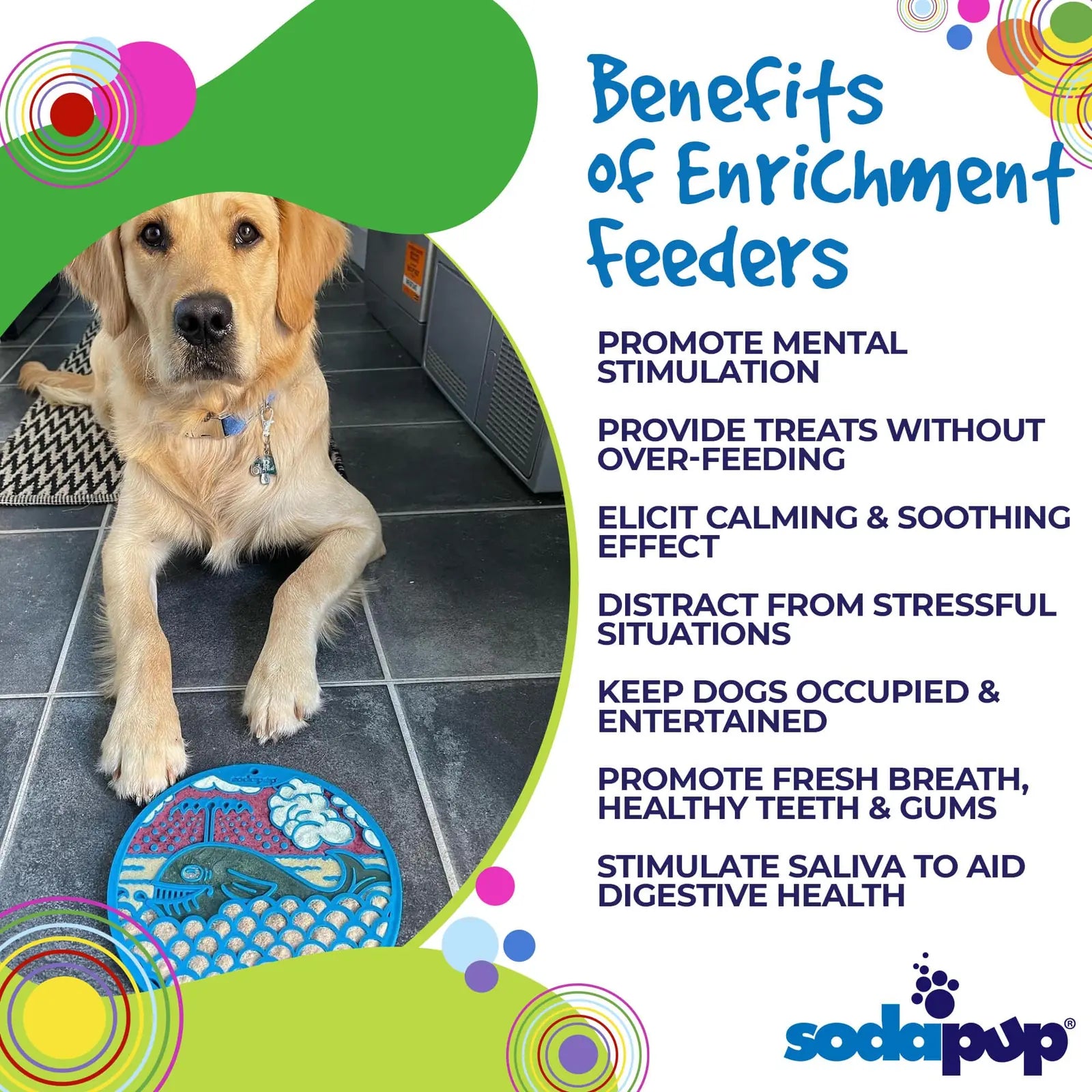 Golden retriever sitting beside a blue whale-shaped enrichment lick mat with textured design, promoting mental stimulation...