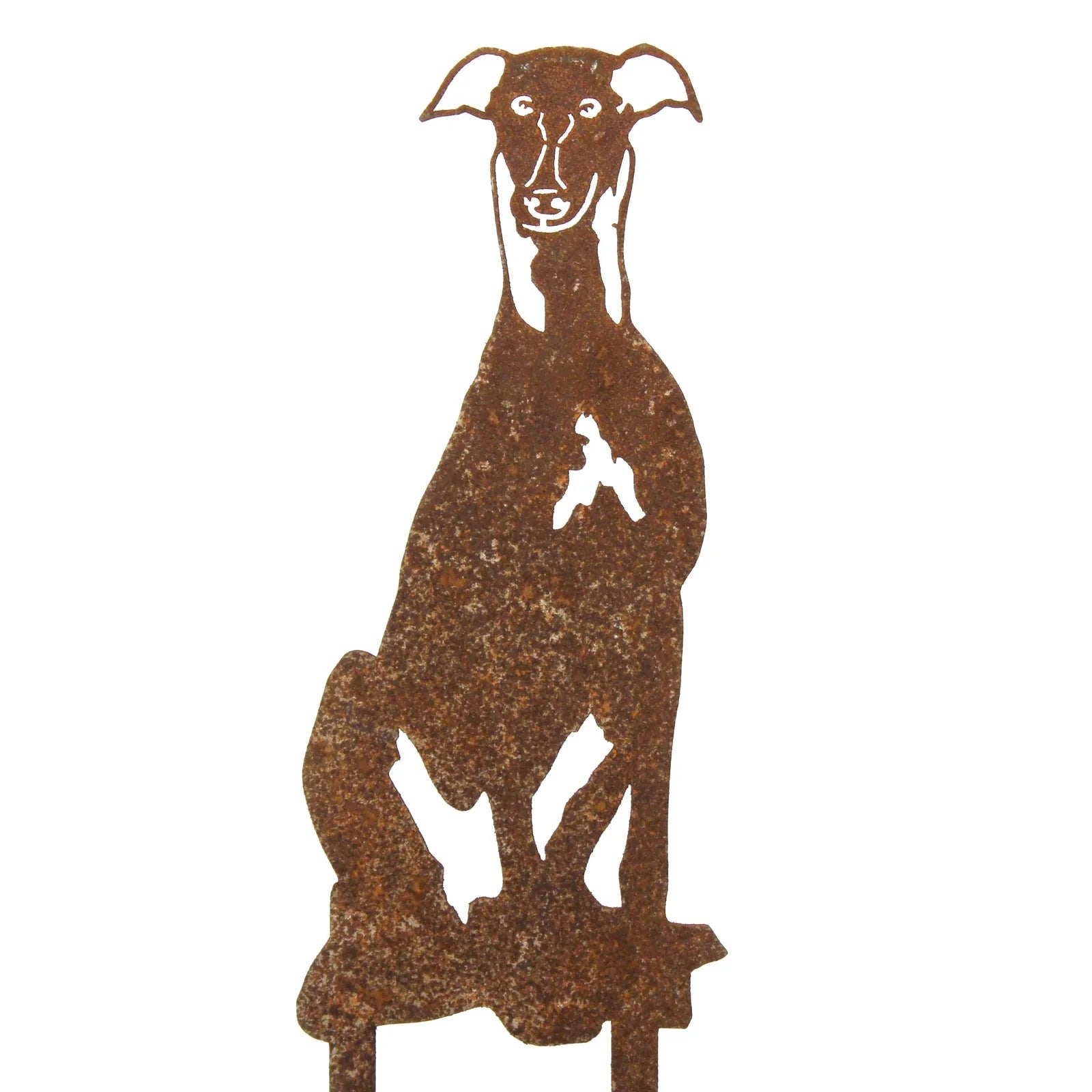 Rusty Corten steel silhouette of a Whippet dog, elegantly posed, perfect for garden decor or outdoor sculptures.
