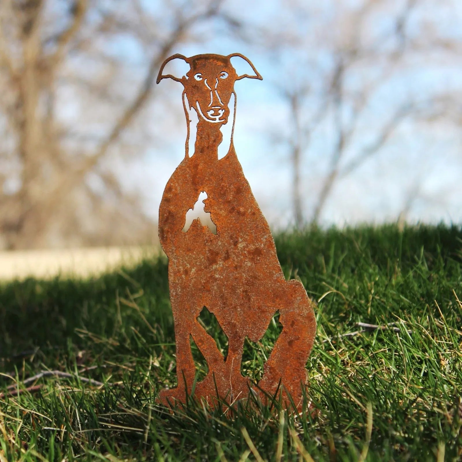 Rust-colored Whippet metal silhouette sculpture on grass, showcasing its unique design and weathered texture.