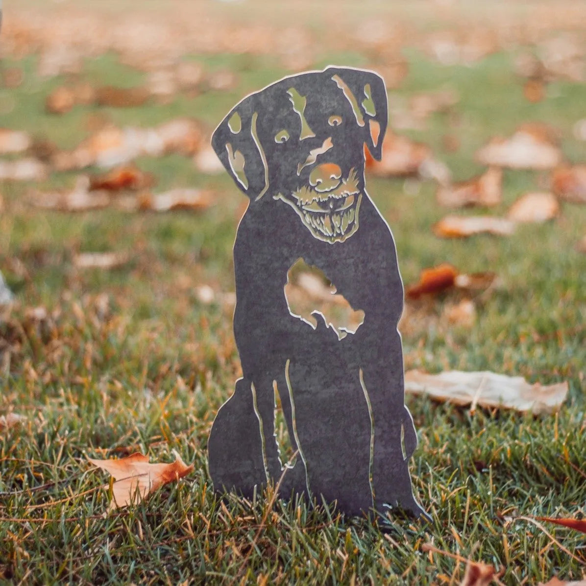 Wirehaired Pointing Griffon metal silhouette in Corten steel, set against grassy outdoor background with autumn leaves.
