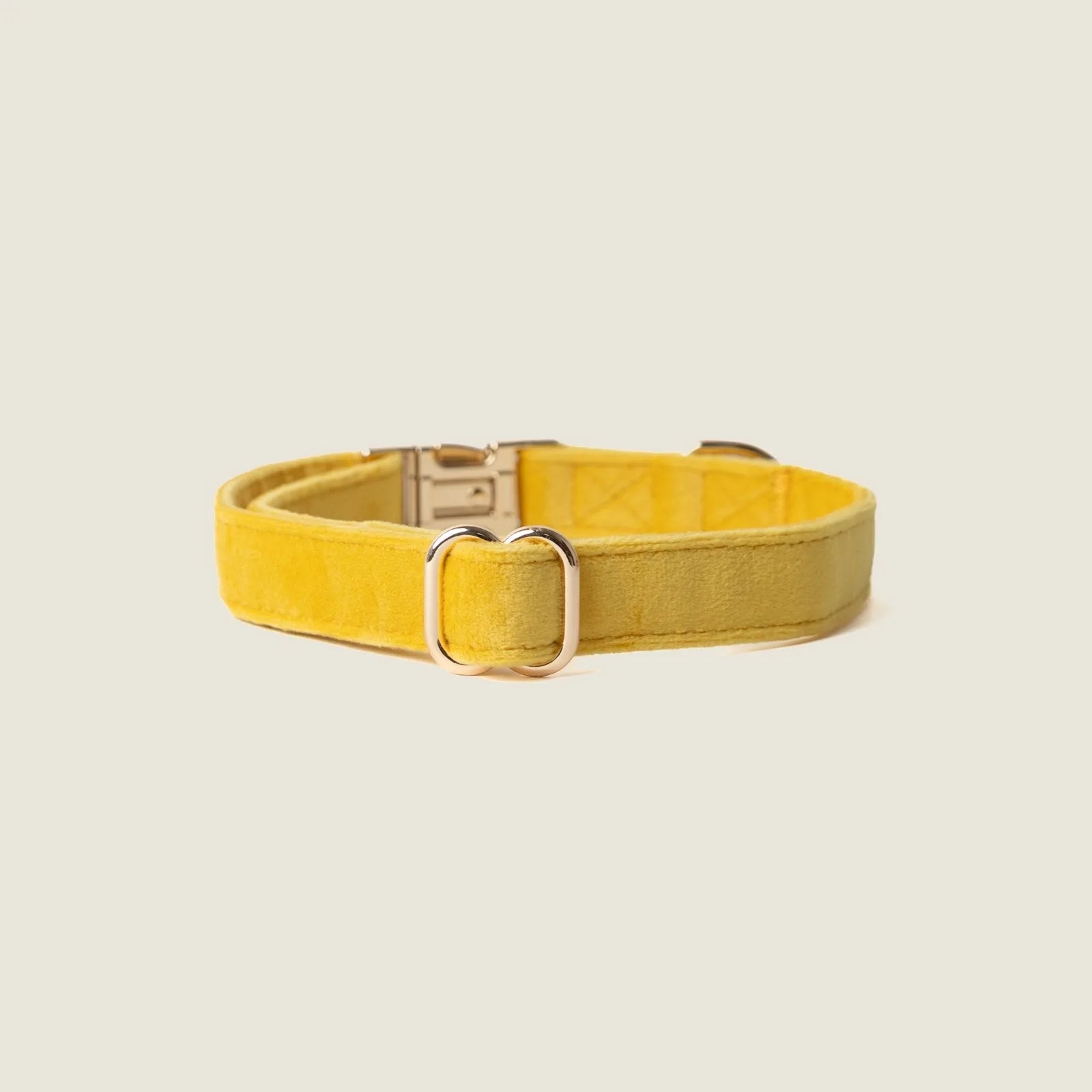 Soft yellow velvet dog collar with gold buckle detail, perfect for adding style to everyday walks.