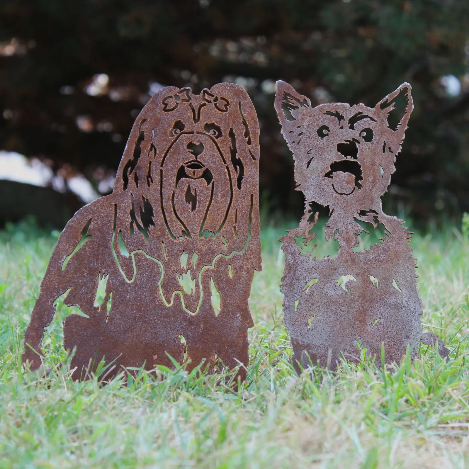 Handmade rusted metal silhouettes of Yorkshire Terriers, set on grass, perfect for outdoor dog decor.