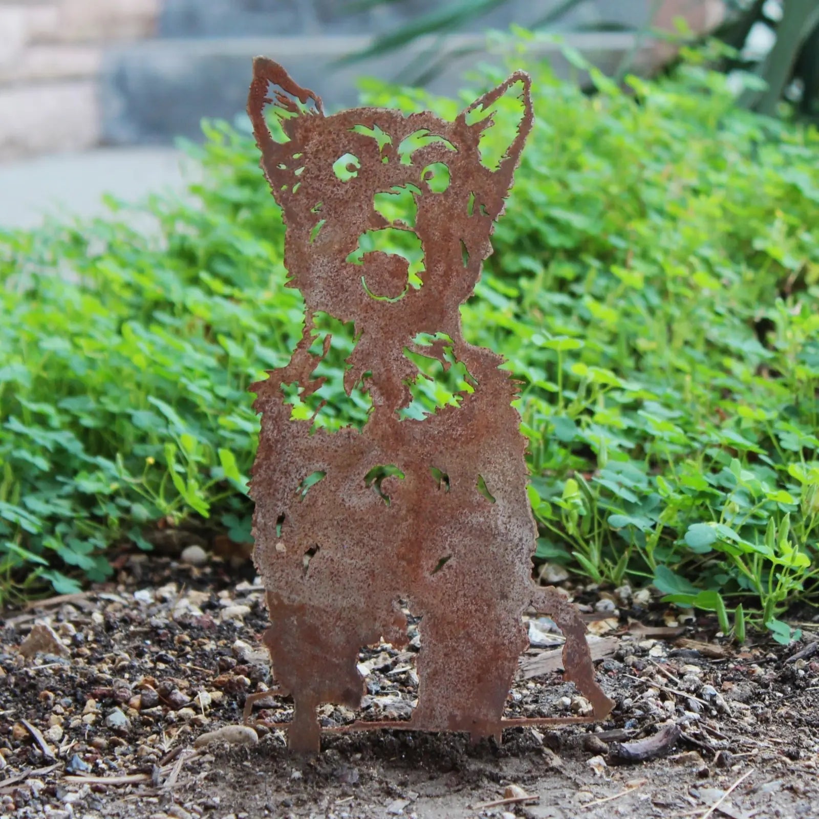 Rustic metal silhouette of a Yorkshire Terrier, crafted from weathering steel, set amidst greenery in an outdoor space.