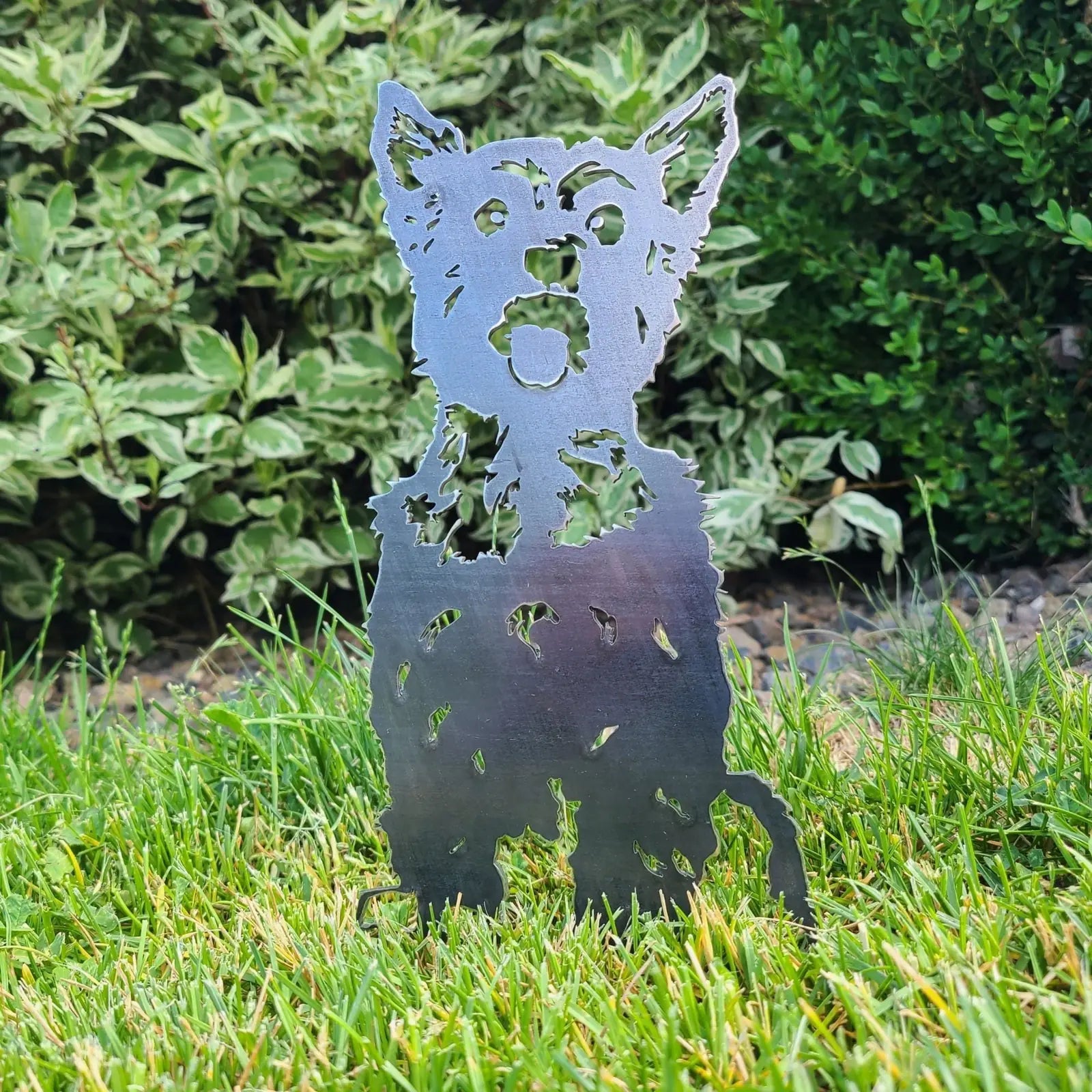Metal silhouette of a Yorkshire Terrier in a garden, crafted from weathering steel with rustic detail, showcasing playful...