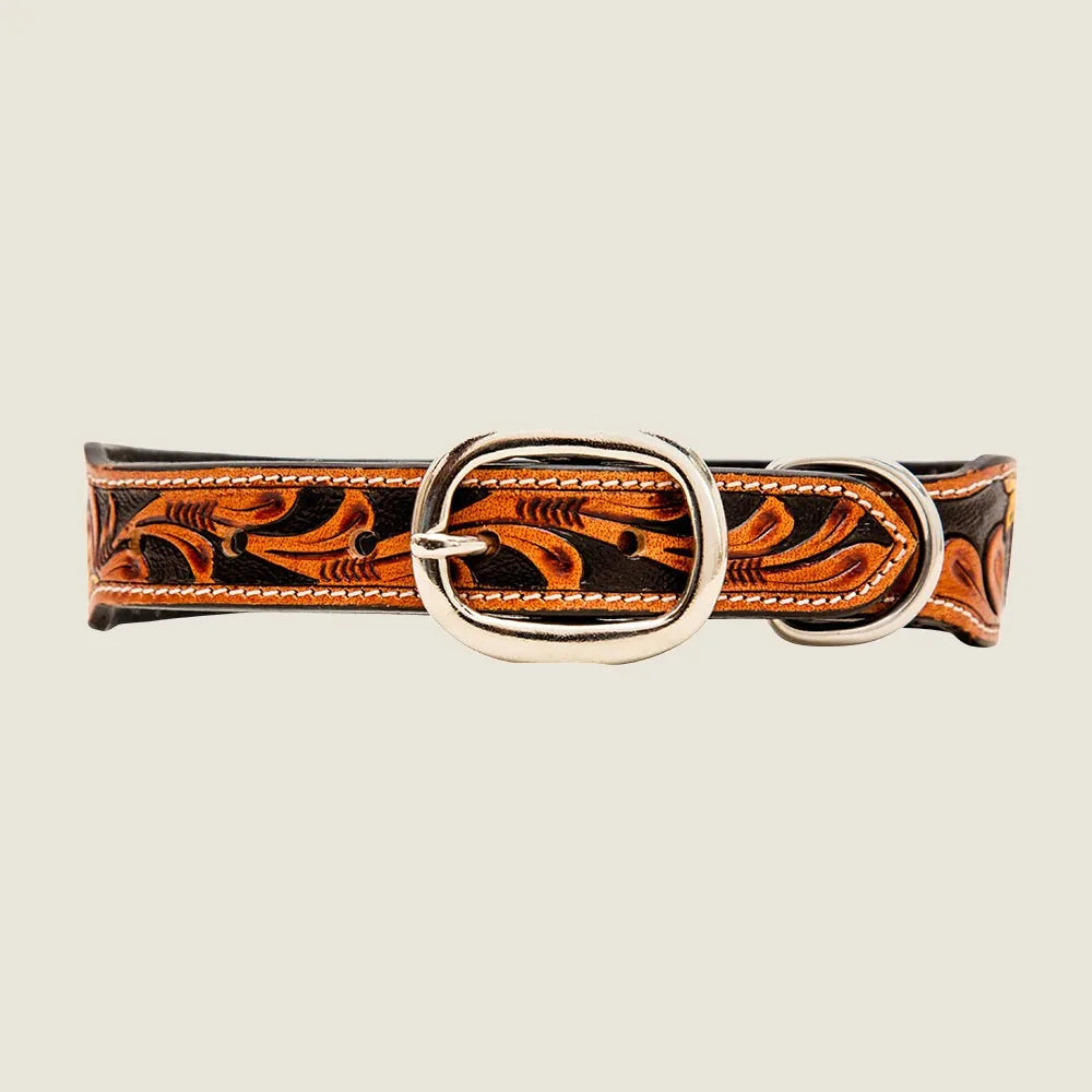 Hand-tooled leather dog collar featuring a floral pattern in brown and orange with a silver buckle.