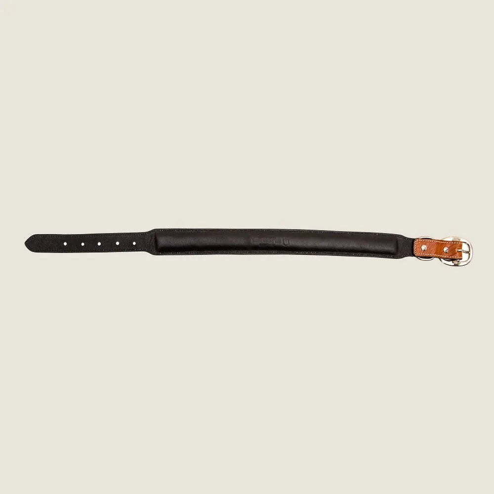 Hand-tooled leather dog collar in black, featuring a smooth surface and adjustable strap with a metal buckle.